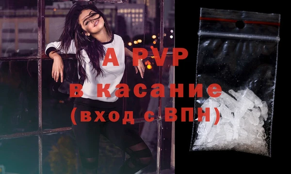 сатива Аркадак