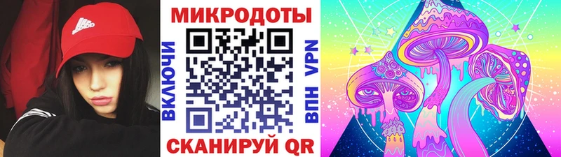 наркота  Кологрив  Псилоцибиновые грибы прущие грибы 